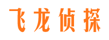 叶城市侦探调查公司